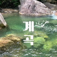 백운산계곡 캠핑장부터 물놀이 준비(튜브, 용품) 및 계곡 추천