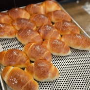 [일상] 주재근 베이커리 본점 "소금빵" 버터 풍미 가득 쫄깃한 시그니처 빵을 맛보다!