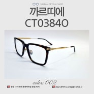 오버사이즈 호피 뿔테 까르띠에 CT0384O