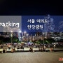 [서울여행] 서울 여의도 한강공원, 서울 야경