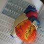 60-70대 심장 건강 관리 방법