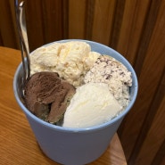 배스킨라빈스 베라 쿼터 초콜릿 칩 요거트31 초코나무숲 뉴욕치즈케이크