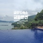 금오도 숙소 & 금오도 식당 소개. 금파펜션(feat. 뷰 맛집), 비렁길쉼터, 편의점