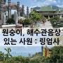 [베트남/다낭] 링엄사 (영흥사) : 경치 좋고, 원숭이 있는 무료입장 사원! 다낭 가볼만한 곳
