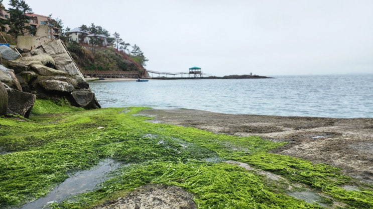 신안 증도 우전해변, 동심으로 가득한 섬그린펜션 : 네이버 블로그