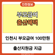 2024년 인천 출산지원금 및 부모급여 100만원 지급 (출산시 1,000만원 지급가능할까)