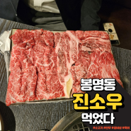 대전 봉명동 맛집 : 진소우 한우 소고기 갈비살 육회까지 회식하기 좋은 맛집