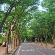 장수동 - 인천대공원