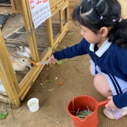 용인 아이와가볼만한곳 “포레스트벨” 농장체험,동물체험,놀거리 가득 시간제한 없어서 좋으다요♥