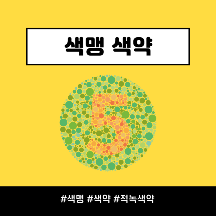 색맹 색약 차이점 전재준 적녹색약 색약테스트 치료가능할까 : 네이버 블로그