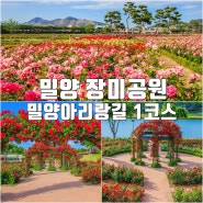 밀양 장미공원 아리랑 길 1코스 걷기 좋은 길 주차 정보 포함