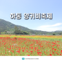 하동 북천 양귀비 축제 실시간 5월 갈만한곳 드라이브 코스