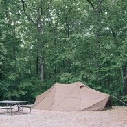 Lake Anna State Park Campground, Spotsylvania, VA_20240503