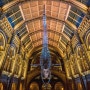 영국, 자연사 박물관, ‘희망’이라는 이름의 흰긴수염고래 뼈대(Blue whale skeleton named Hope, Natural History Museum, London)