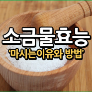 100세 건강을 위한 소금물의 효능과 용융소금 솔트티의 등장