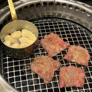 일본 야끼니꾸 전문식당, 일본의 한식당 개선문, やきにく