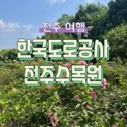 전주 5월 가볼만한 곳. 한국도로공사 전주 수목원 장미 입장료 포토존
