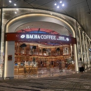 싱가포르 여행 :: 창이공항 3터미널 면세점 바샤커피 BACHA COFFEE 가격