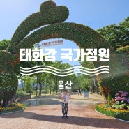 울산 5월 태화강 국가정원 봄꽃축제 실시간 개화상태