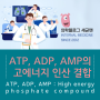 ATP, ADP, AMP의 고에너지 인산 결합