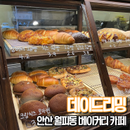 안산 월피동 조용한 베이커리 카페 추천 데이드리밍