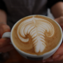 커피학원 원장이 알려주는 호주 워킹홀리데이 카페 취업