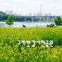 〔구리시〕구리한강시민공원의 유채꽃 등 풍경(ft. 한강둔치꽃단지)