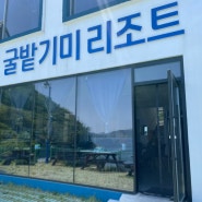 통영 두미도 민박_ 청결한 방+가성비 좋은 굴밭기미리조트(아쉬운점⭕️😭)