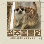 [청주 명암동] 동물보호소 청주랜드동물원