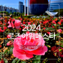 2024 올림픽공원 장미축제 로즈아워페스타 주차 개화현황 ft. 들꽃마루