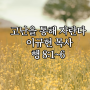 240519, 고난을 통해 자란다, 이규현 목사, 행8:1-6