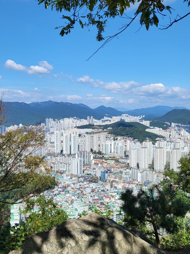 부산 초보 등산 배산 등산코스, 연산동 고분군 산책 : 네이버 블로그