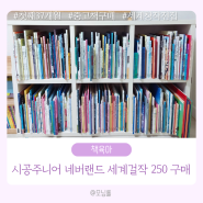 시공주니어 네버랜드 세계걸작 250 구매 후기 (중고거래 팁 주의점/창작전집 끝판왕 양대산맥 비룡소 그림동화 비교)