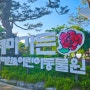 서울대공원 테마가든 장미축제 날짜 입장료 발렛 주차 코끼리열차 관람 후기