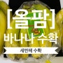 [올팜수확] 3번째 바나나 수확완료!