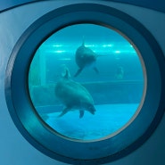 울산 장생포 고래생태체험관