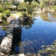 게이타쿠엔 공원의 봄 햇살