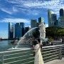 싱가포르 가볼만한곳 머라이언공원,리버 크루즈, 맛집추천 점보시푸드