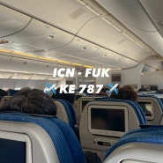 [후쿠오카 여행] 대한항공 KE787 탑승 후기 (08:00 - 09:25 / 기내식 및 비행시간)