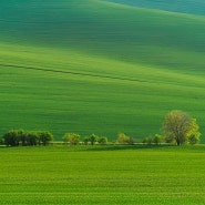 [유럽 여행] 체코 모라비아 봄 풍경 / Spring scenery of Moravia, Czech Republic