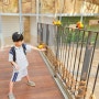 경기도 오산 버드파크 실내 동물원, 아이와 가볼만한 곳
