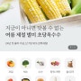 제철장터 앱 다운로드 특가 신선식품 대저토마토, 카라향