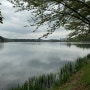 군산 은파호수공원 둘레길 걷기(9km)