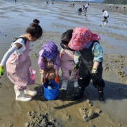 태안 아이와 갯벌체험 :: 진산리 어촌계 유료 체험장