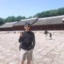 [서울] 종묘 투어 (무료해설 들으면서 산책하기 너무 좋은 종로 가볼 만한 곳)