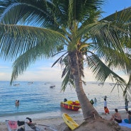 해외여행 추천✈️ 필리핀 보홀여행 1일차 ❗️ 에어부산 돌핀리조트 고래상어🐳 망고🍋나팔링투어