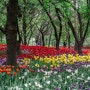 봄꽃 가득했던 서울숲