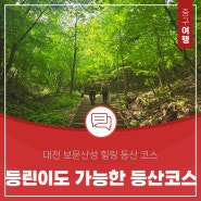 등산 초보도 쉽게 즐길 수 있는 대전 보문산 등산 보문산성 힐링 코스 추천