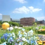 온갖 꽃들이 다 피어있는 :: 열린송현 녹지광장