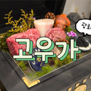 [광화문 맛집] 고우가 광화문점ㅣ광화문 한우 오마카세 맛집 룸식당 feat. 소고기 코스요리